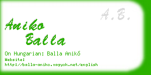 aniko balla business card